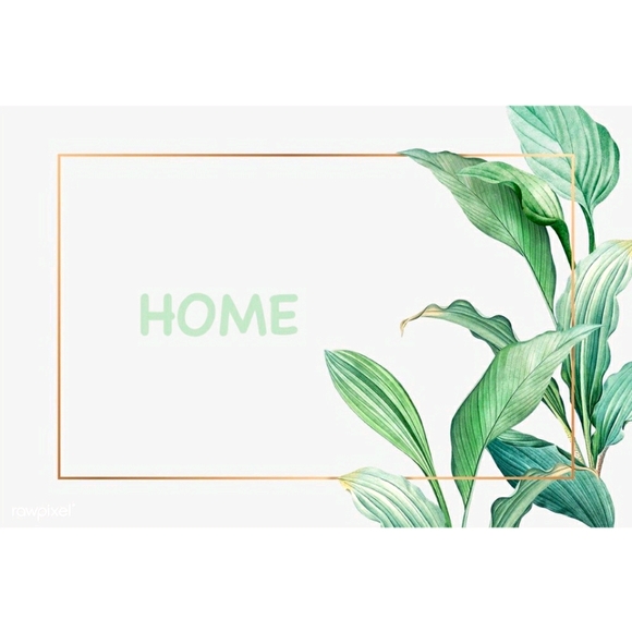 Home - Picture 1 of 1